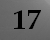 photo17